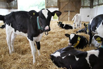 Farming Ministers from around Europe discussed the impact of falling milk prices Farming Ministers from around Europe discussed the impact of falling milk prices