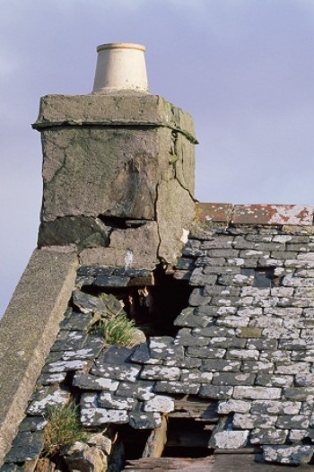 Chough nest site – Credit: Andy Hay – © RSPB images Chough nest site – Credit: Andy Hay – © RSPB images