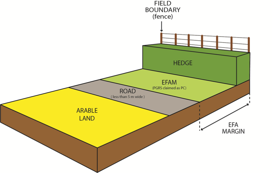 EFA location diagram 2 EFA location diagram 2