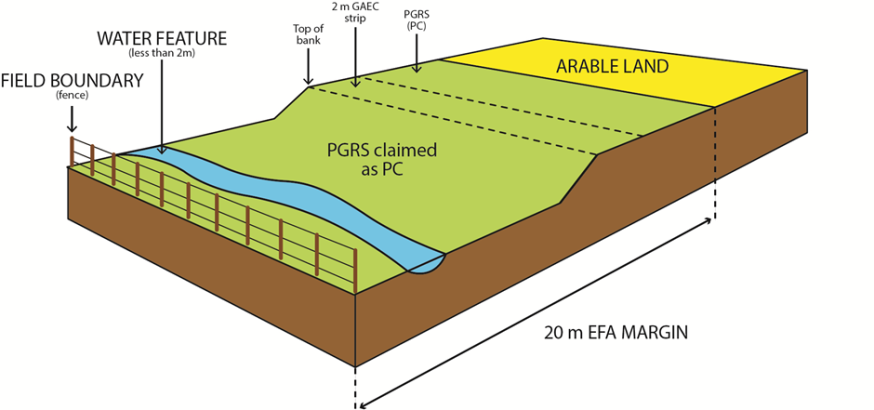 EFA diagram 4 EFA diagram 4