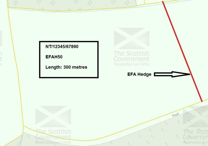 EFA diagram EFA diagram