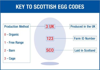 Egg codes Egg codes
