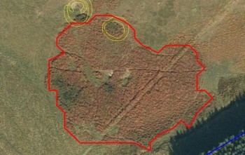 Arial view of a land parcel Arial view of a land parcel