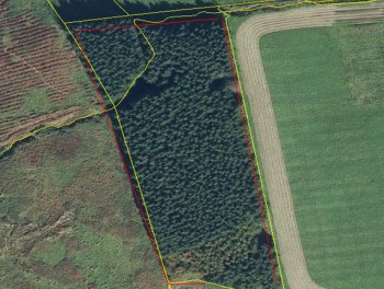 Arial view of a land parcel Arial view of a land parcel
