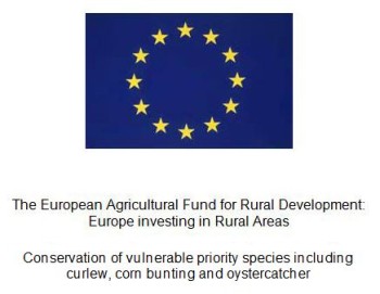 EU flag and wording for plaques