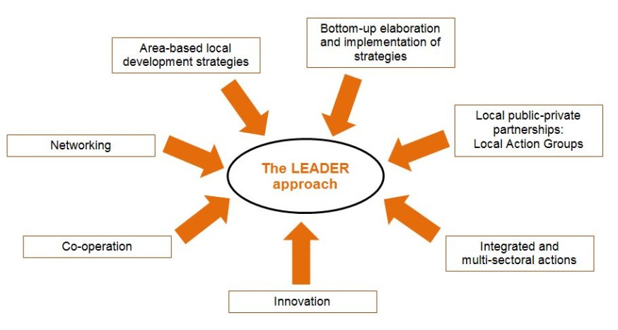 LEADER LEADER