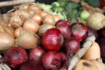 Onions Onions