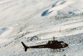 Helicopter count – © Scottish Natural Heritage Helicopter count – © Scottish Natural Heritage