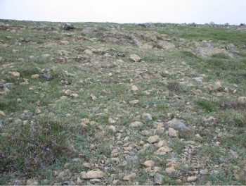 Serpentine heath – © Brendan O'Hanrahan, Scottish Natural Heritage