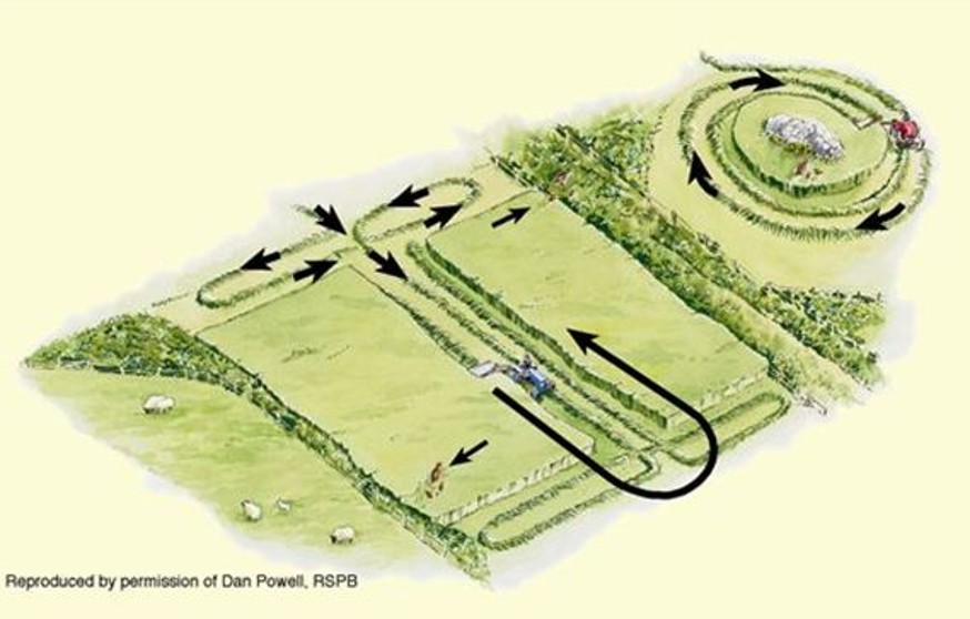 Wildlife-friendly mowing – © Dan Powell, RSPB Wildlife-friendly mowing – © Dan Powell, RSPB