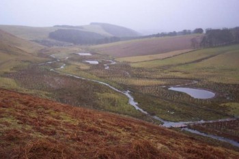Floodplain reconnection and riparian planting in the Tweed catchment – Credit: Tweed Forum Floodplain reconnection and riparian planting in the Tweed catchment – Credit: Tweed Forum