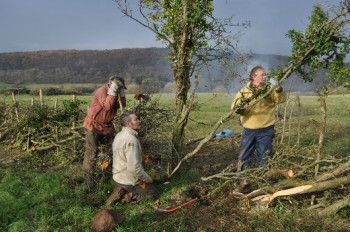 Hedge-laying training on the Isle of Bute – Credit: Tony Seymour – © TFE 2014