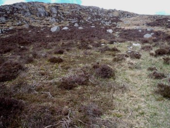 Credit: Graham Sullivan – © Scottish Natural Heritage Credit: Graham Sullivan – © Scottish Natural Heritage