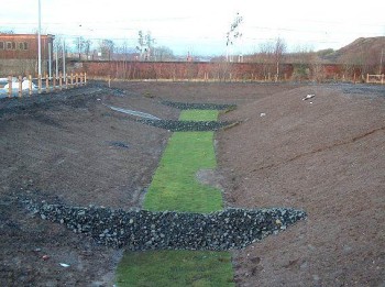 Swale with check dams